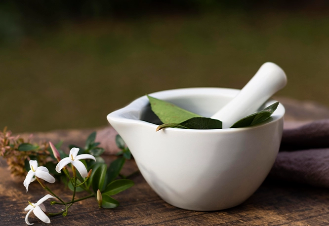 Zioła i liście w moździerzu